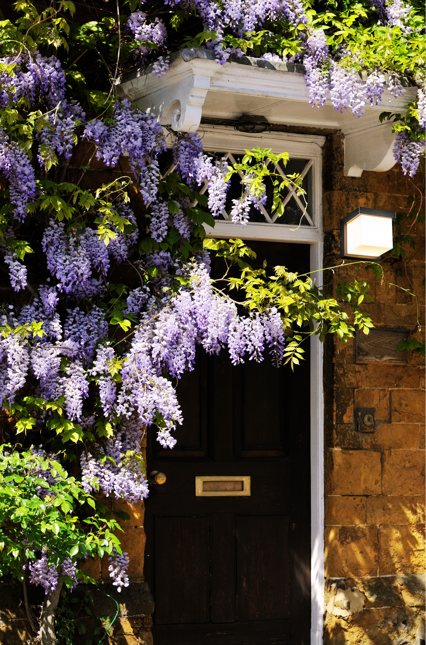 CGC ADDISON Black Cube LED Outdoor Wall Light 4000k Natural White Integrated LED IP65