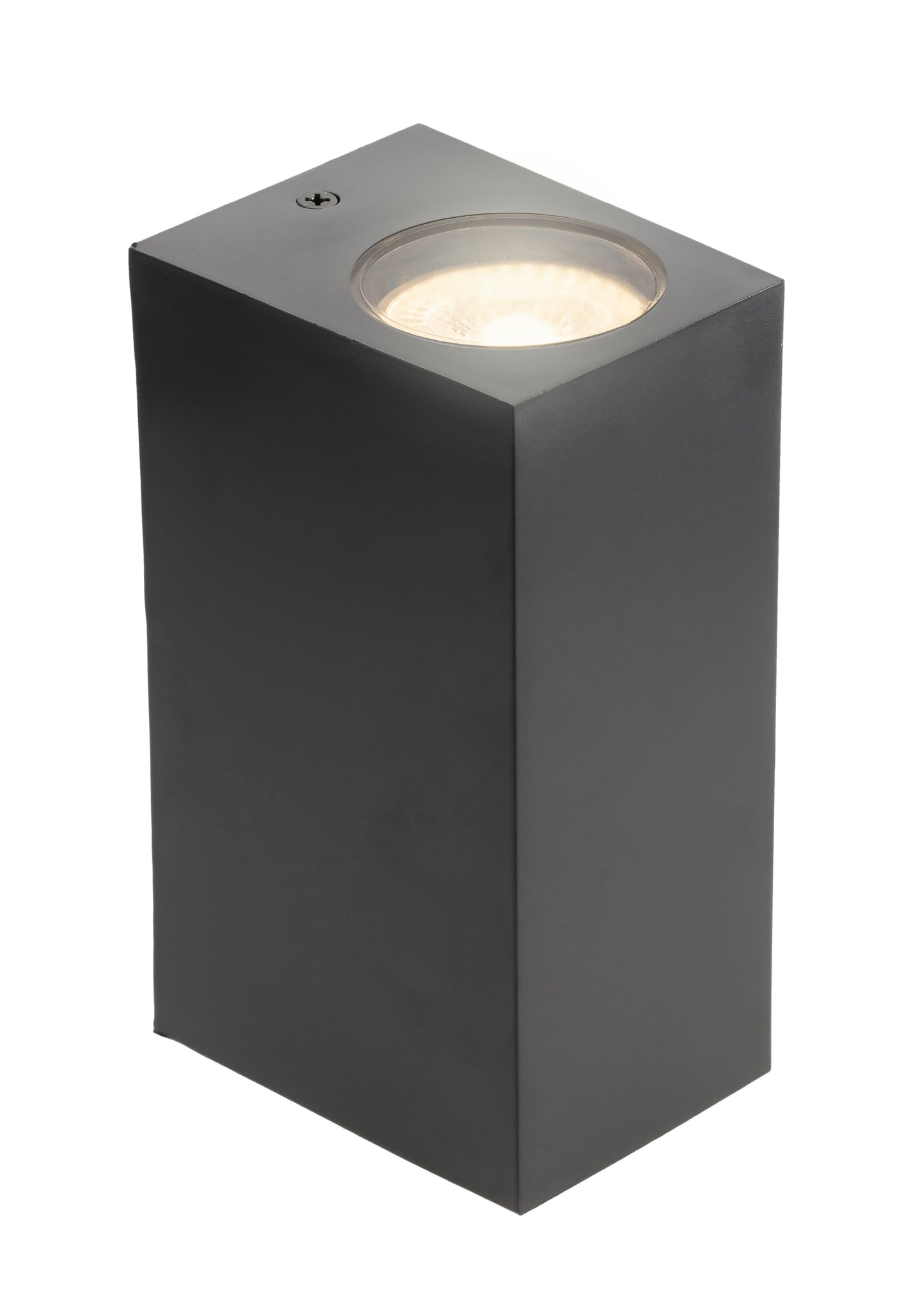 EILEEN - CGC Black Up and Down Outdoor Rectangle Double Spotlight