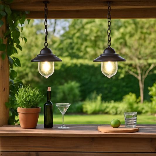 RYDER - CGC Black Hanging Lantern Outdoor Light