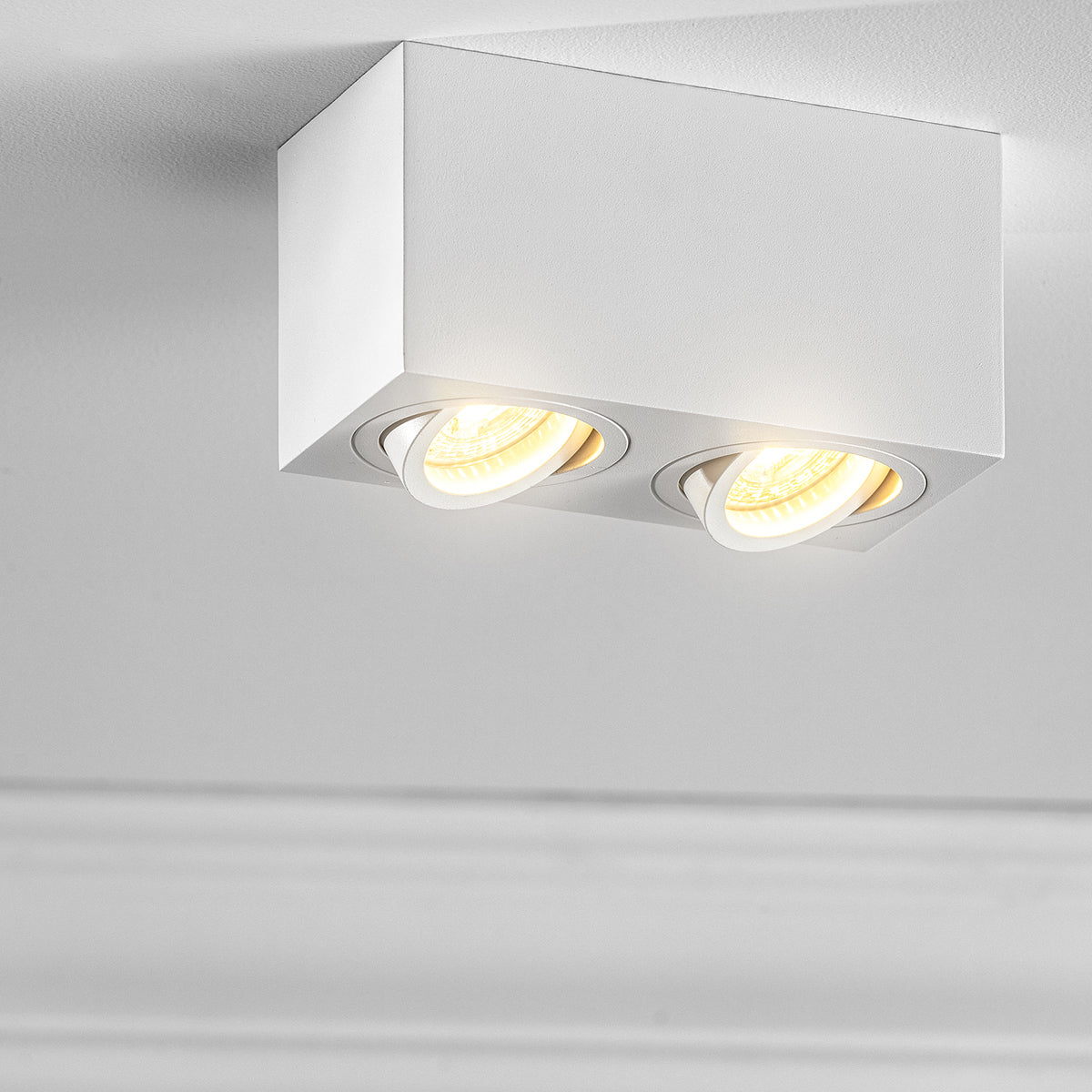 SASHA - CGC White Twin Rectangular Ceiling Spotlight