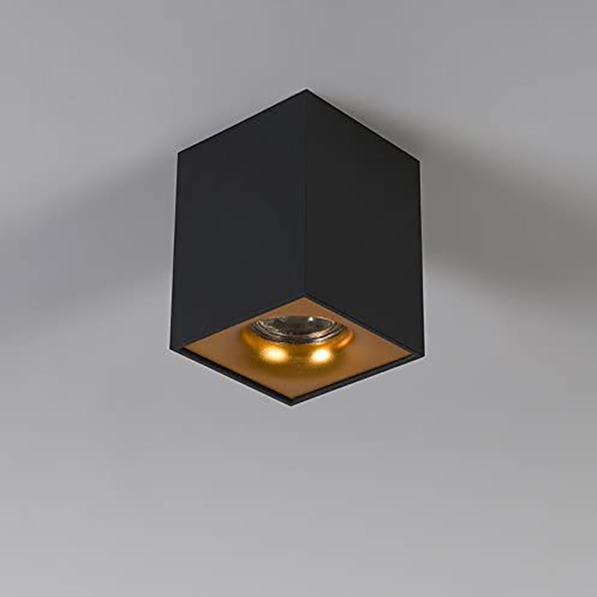 SANDRA - CGC Black Square Single Spotlight With Gold Reflector