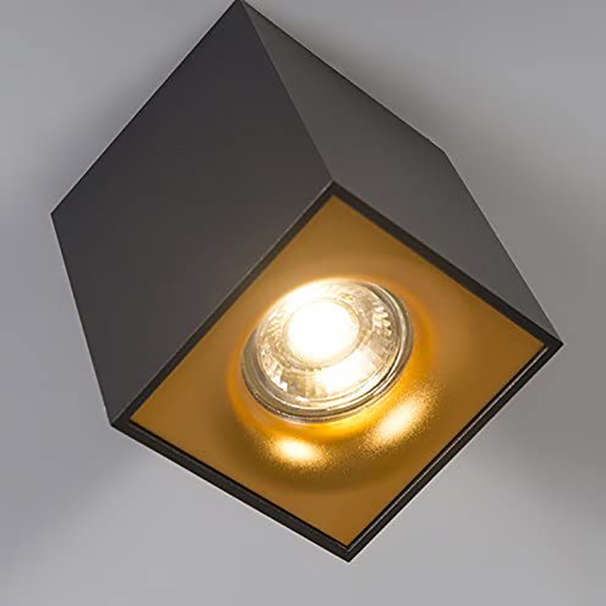 SANDRA - CGC Black Square Single Spotlight With Gold Reflector